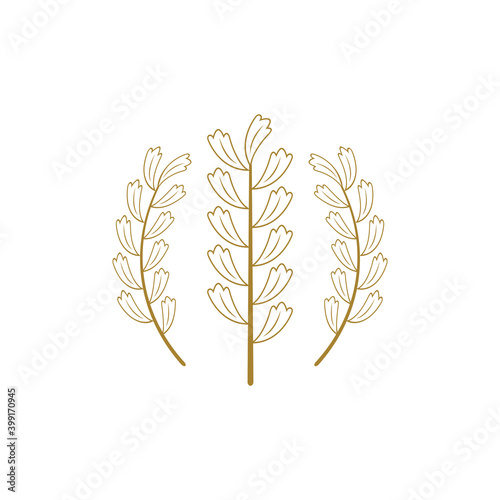 Wheat icon design template vector isolated illustration