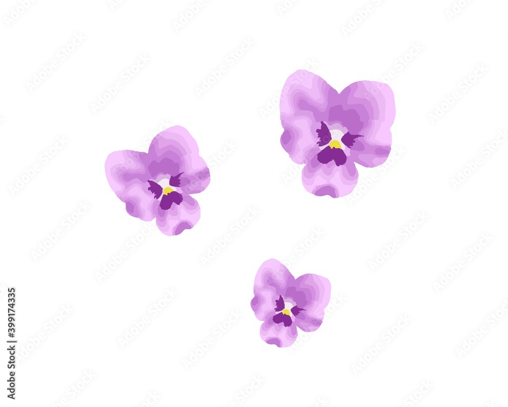 Obraz premium すみれの花のベクターイラスト 