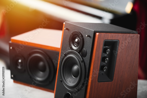 Fotografi Bookshelf speaker, Home entertainment