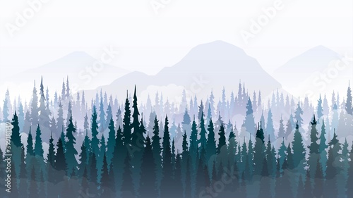 Mountain landscape with pine forest and fog