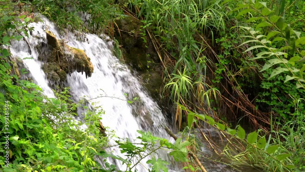 Water flowing past rocks and a tree trunk with lush plants surrounding the area in Krka National Park in Croatia