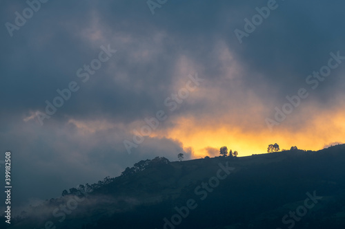 On the edge of the Cloud Forest at sunset, Mindo, Ecuador.
