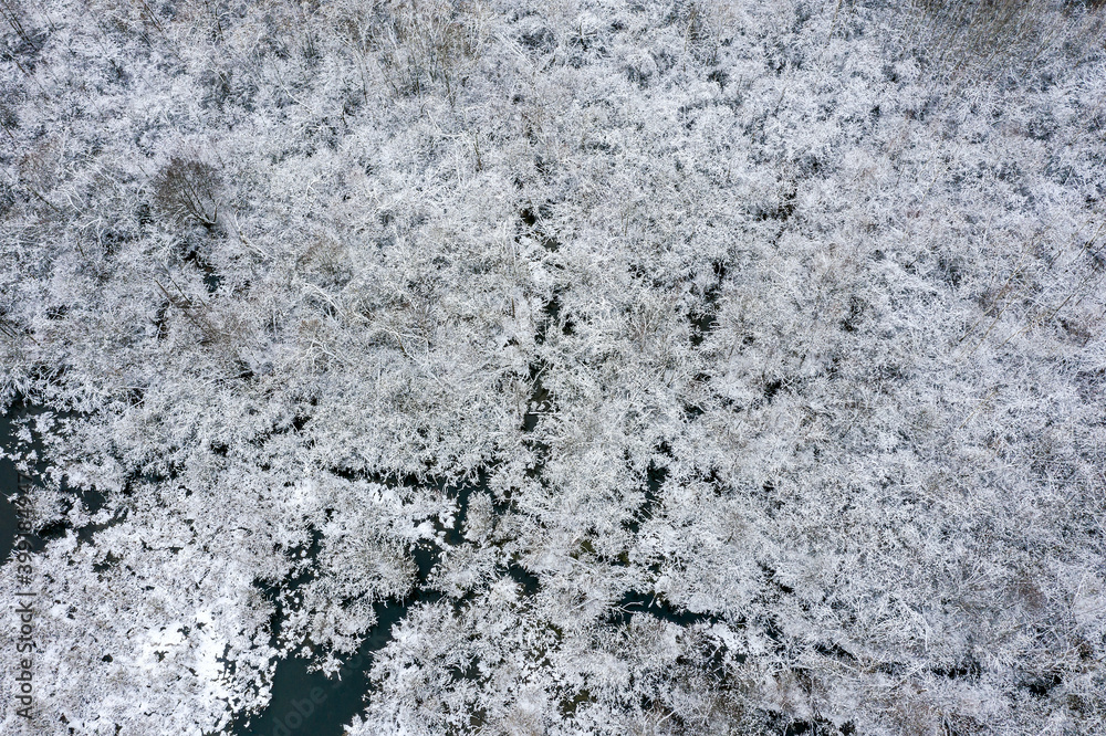 aerial top view over frozen marsh in early winter. natural background aerial top view over frozen marsh in early winter. natural background