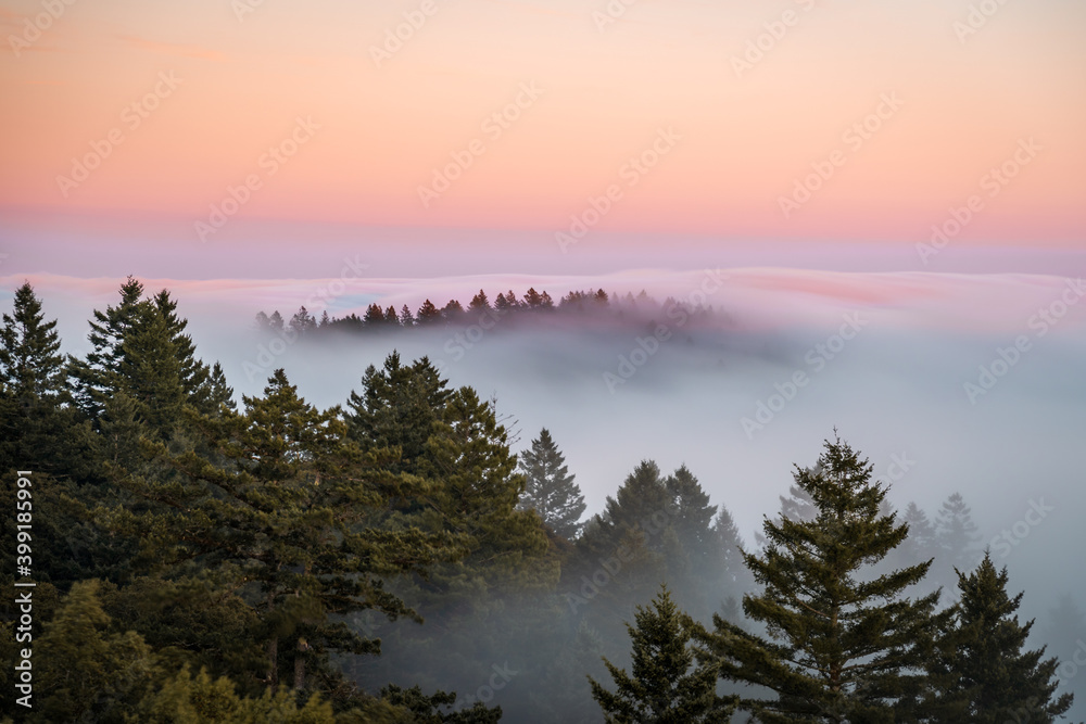 Obraz premium Smooth Fog over Mount Tam.