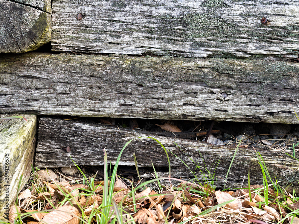 Obraz premium 朽ちた枕木