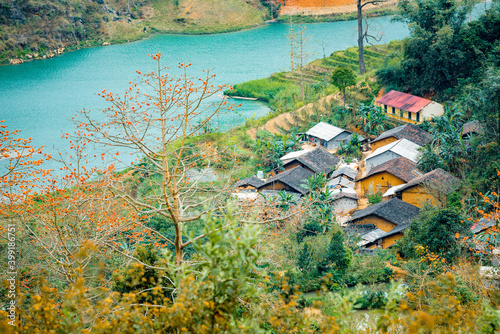 beautiful landscape of Red Silk Cotton Tree and many house  at Nho Que River, Ha Giang, Viet Nam photo