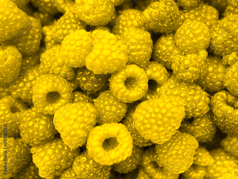Yellow raspberry close up. presentation of fashion colors 2021