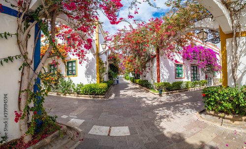 Street with flowers in Puerto de Mogan  Gran Canaria island  Spain