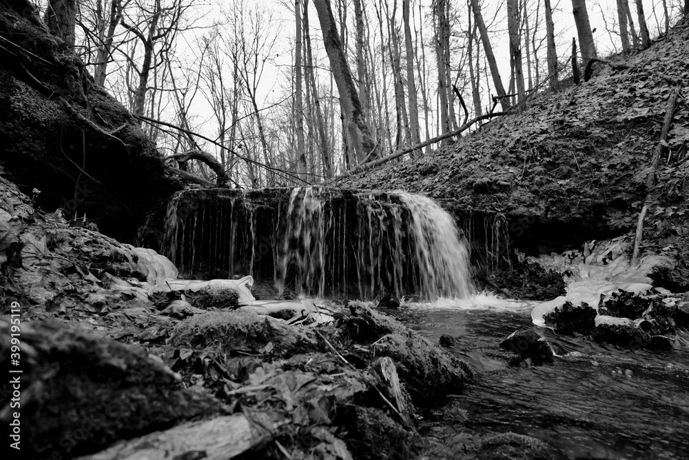 Fototapeta premium waterfall in the forest