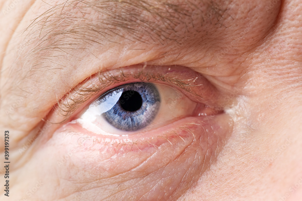 Fototapeta premium man macro eye. macro photography of human eye