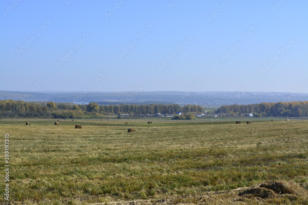 autumn landscape hay making
Заготовка сена, осенний пейзаж. Сибирь. Новосибирск
