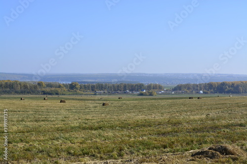 autumn landscape hay making Заготовка сена, осенний пейзаж. Сибирь. Новосибирск 