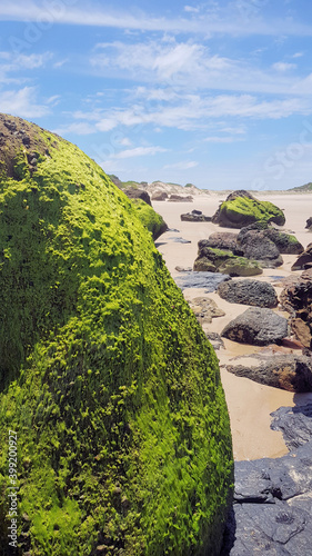 Ghosties Beach Catherine Hill Bay New South Wales Australia. The waves are washing over a sandy beach with cliffs in the background. Algae covered rocks litter the beach photo