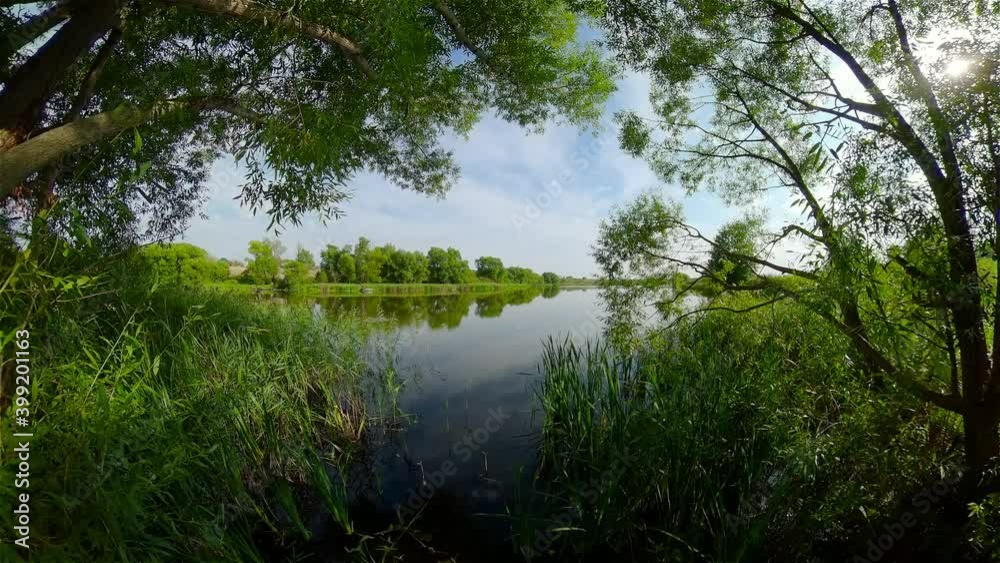 Summer landscape with quiet water of the lake under the canopy of trees on a Sunny day. Rural landscape of the lake and blue sky. Summer landscape with quiet water of the lake under the canopy of trees on a Sunny day. Rural landscape of the lake and blue sky.