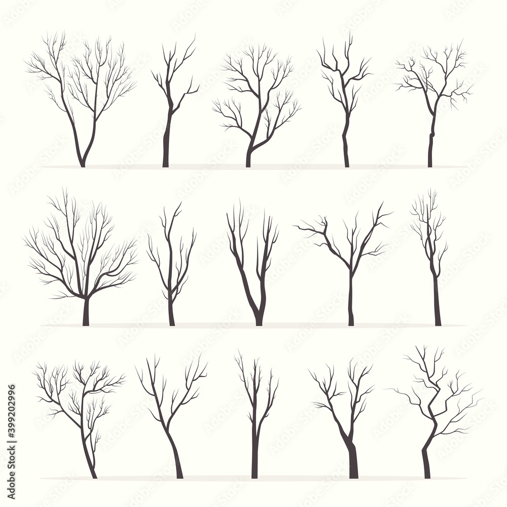 Trees with bare branches silhouette set. Mysterious black growths twisting stems of plants with various tracery forms of shape winter with no forest leaves dry plucked shoots. Abstract vector.