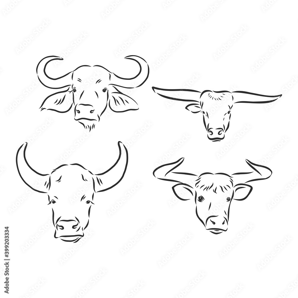 black and white linear paint draw bull vector illustration. bull vector sketch illustration black and white linear paint draw bull vector illustration. bull vector sketch illustration