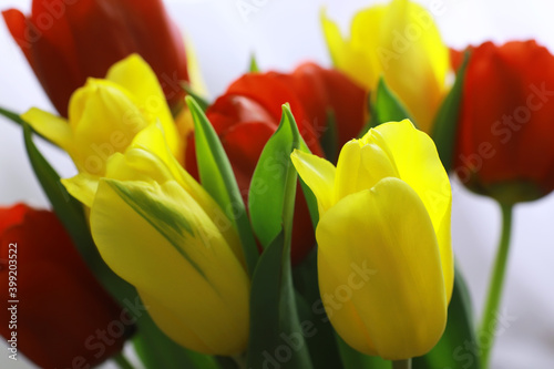 Flowers  spring holidays and home decor concept - Bouquet of beautiful tulips  floral background