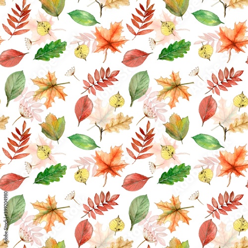 Autumn leaves and berries pattern. Watercolor hand painted seamless floral background. Fall texture on white. Botanical illustration for design  fabric  wrapping