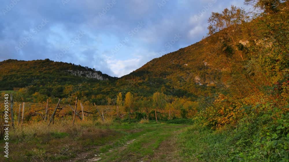 Time lapse of autumn colors and clouds passing by in rural vineyard, UHD Time lapse of autumn colors and clouds passing by in rural vineyard, UHD