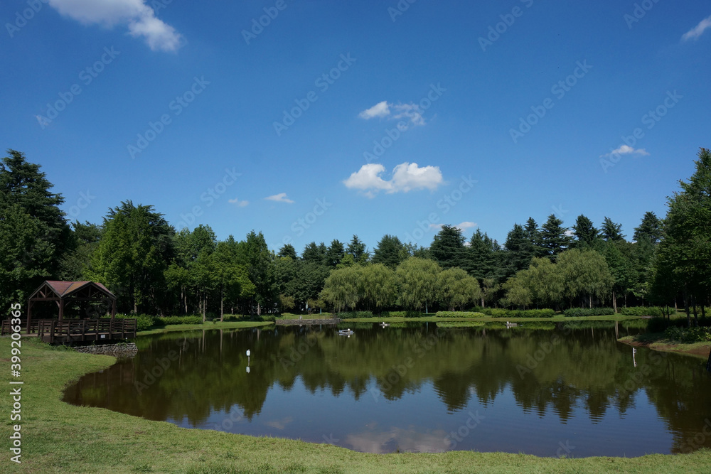 池のある公園 池のある公園