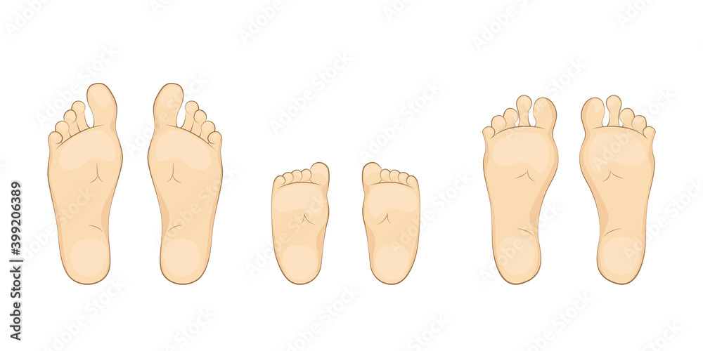Vector illustration of a baby,mother and father soles Vector illustration of a baby,mother and father soles