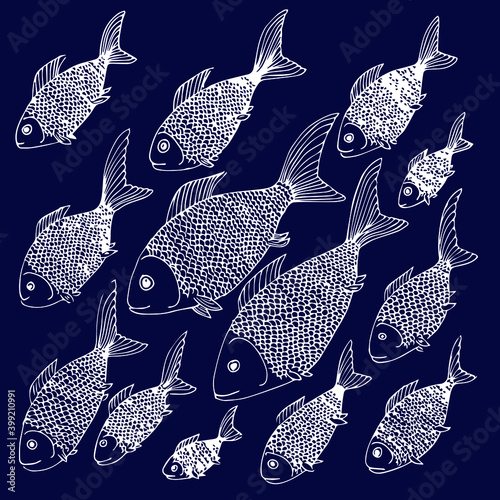 School of fish. Fish of different sizes.