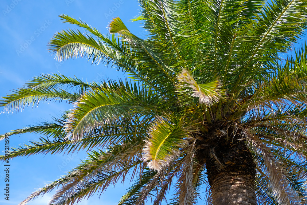 Obraz premium 静岡県伊東市のビーチ