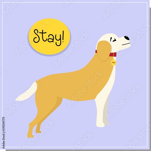 DOG training, command to stand. Beautiful dog training, great design for any purpose. Colleagues work together.