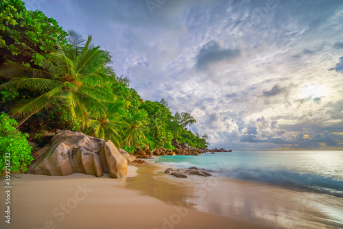palm trees on tropical beach anse georgette on praslin island. paradise on the seychelles