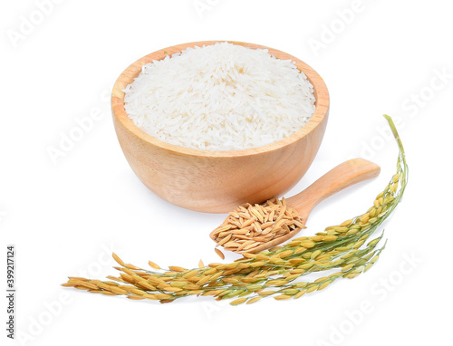 rice plants, grains of thai jasmine rice in wood bowl isolated on white background