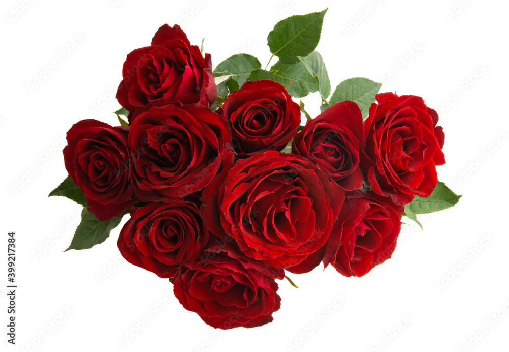 Obraz premium bouquet of red roses isolated