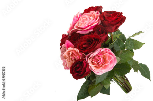 bouquet of red roses isolated