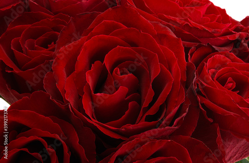 Fototapeta Naklejka Na Ścianę i Meble -  bouquet of red roses isolated