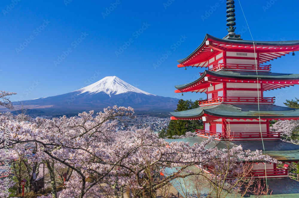 山梨県からの富士山と五重塔と桜