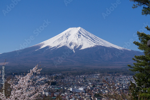 山梨県からの富士山と桜