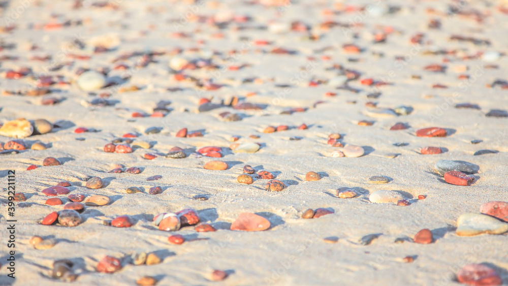 small pebbles on the golden sand of the beach under the sun small pebbles on the golden sand of the beach under the sun