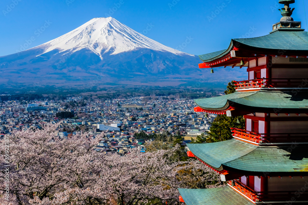山梨県から見た富士山と桜