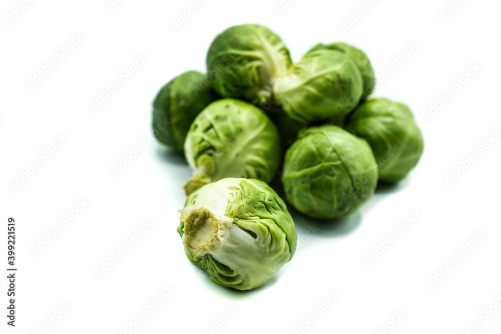 Brussels sprouts isolated on white background Brussels sprouts isolated on white background