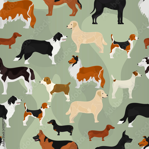 Seamless vector pattern on the basis of different breeds of dog on retro backgrounds