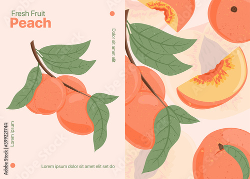 Ripe peaches, whole, sliced and half sliced peaches. Sweet nectarine fruits vector hand drawn card design.