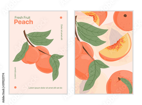 Ripe peaches, whole, sliced and half sliced peaches. Sweet nectarine fruits vector hand drawn card design.