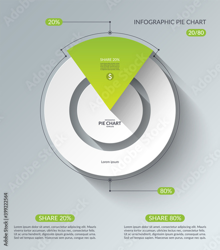Infographic pie chart template. Share of 20 and 80 percent. Vector illustration