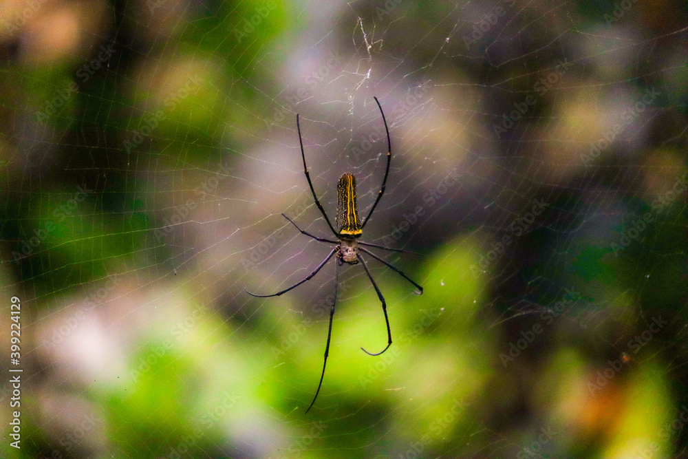 WAITING FOR ITS PREY