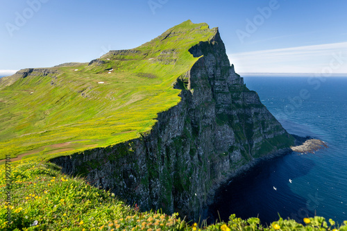 Hornbjarg cliffs in Hornstrandir nature reserve with blossoming flowers, Westfjords, north-east Iceland photo