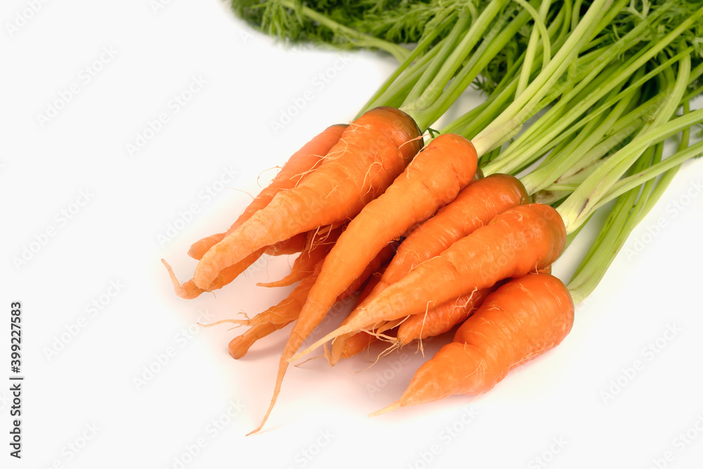 vegetable carrot isolate on white background vegetable carrot isolate on white background