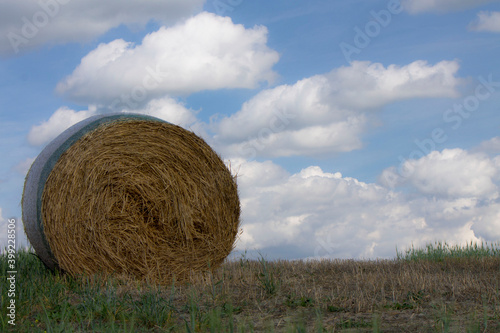 hay bale in tuscany countryside