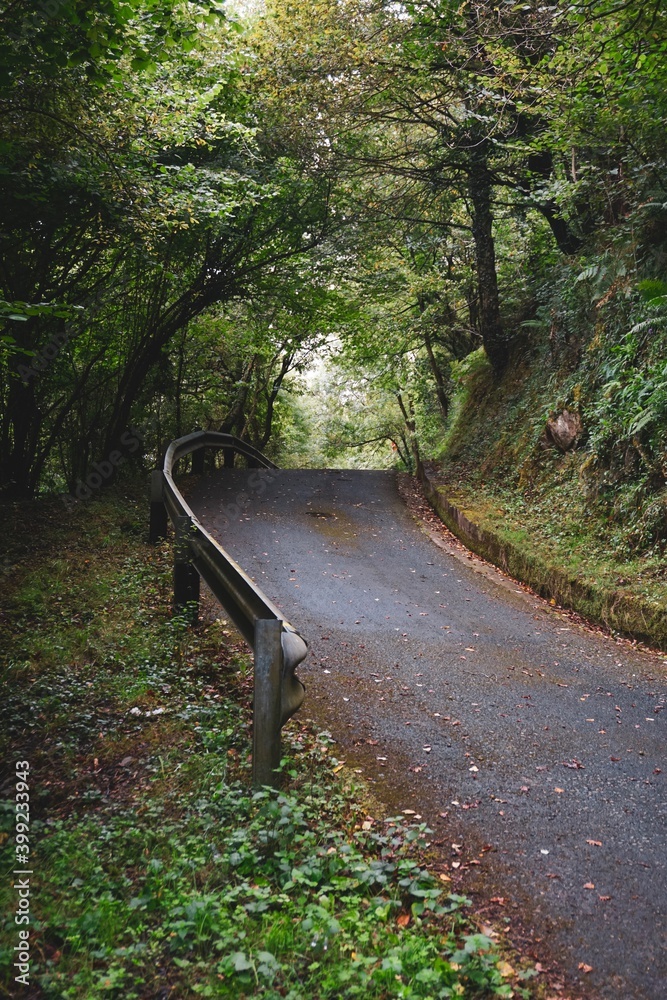 road in the mountain in autumn season in Bilbao, Spain road in the mountain in autumn season in Bilbao, Spain