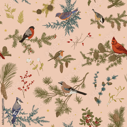 Vintage vector seamless pattern. Winter birds and branches. Botanical illustrations. Coral color
