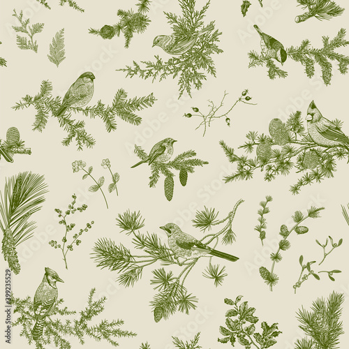 Vintage vector seamless pattern. Winter birds and branches. Botanical illustrations. Green