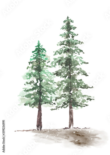 Snowy winter couple pine trees hand-painted watercolor